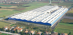 Forlì plant